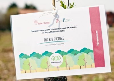 Nova Milanese | Forestazione per gruppo Cap